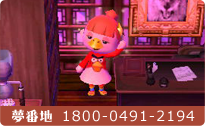プロフィール