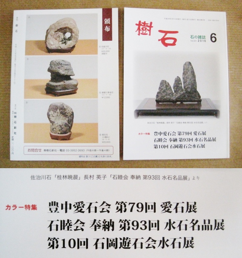 樹石6月号
