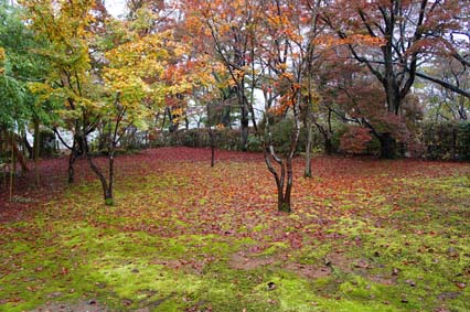 紅葉
