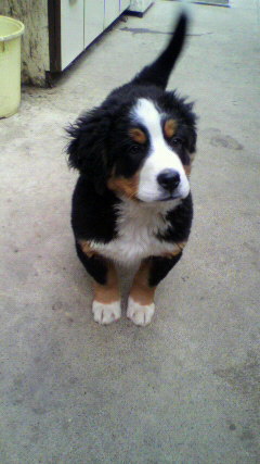 2011030313370003.jpg