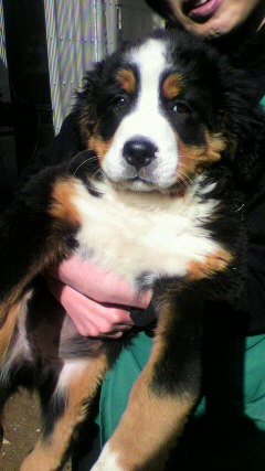 2011030314090002.jpg