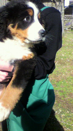 2011030314090001.jpg