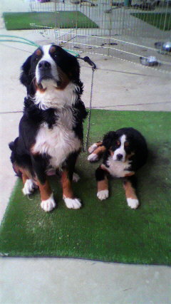 2011030316550001.jpg