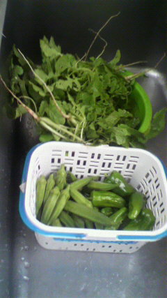 2011091812460000.jpg