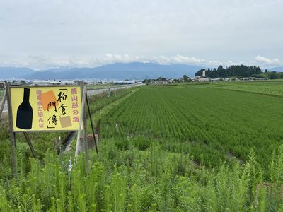 日本酒　特別純米酒 「柏倉門傳」 日本酒 特別純米酒 「柏倉門傳」 柏倉門傳西山形の酒を造る会