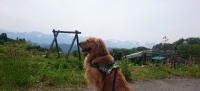 飯縄山登山口に冬馬君
