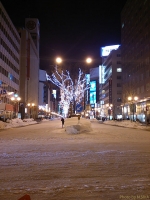 路面