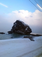沿岸