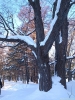 山中1