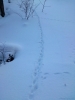 足跡と雪球