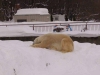 でなり6