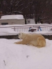 でなり7