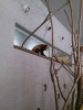れっさー