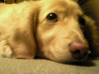 201006300027000.jpg