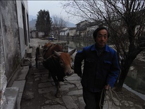 呈坎の古石橋