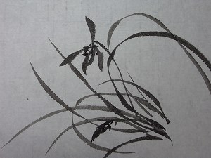 紙・筆と画蘭