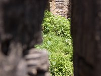 槐塘へ