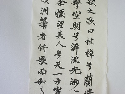蝉衣煮捶宣