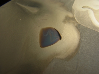 油烟墨の紫光