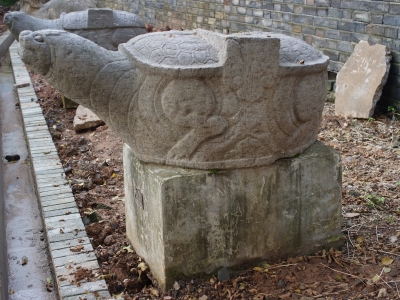 20161103_R0051845.jpg