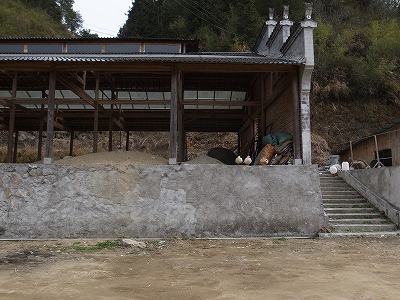 20180502_R0051154.jpg