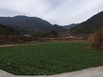 20180502_R0051163.jpg