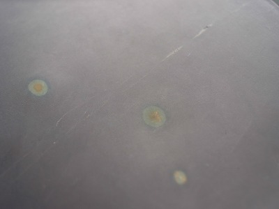 2019_R0056911.jpg