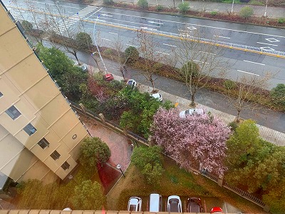 20200118_IMG_5980.jpg