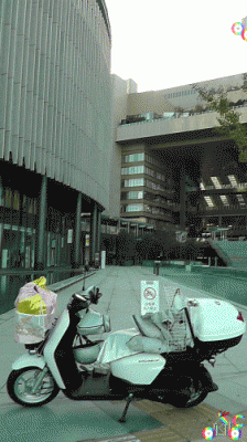 aub.aubc.gfo