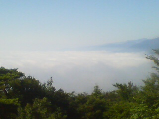 20070812074958.jpg