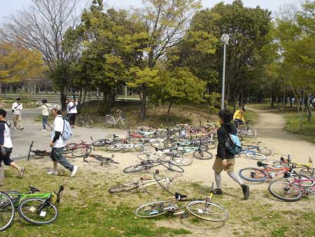 alley cat start