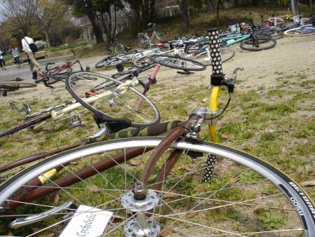 alley cat start2