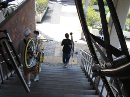 alley cat kishiwada1