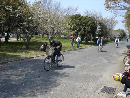 alley cat kishiwada sprint