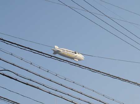 alley cat kishiwada4