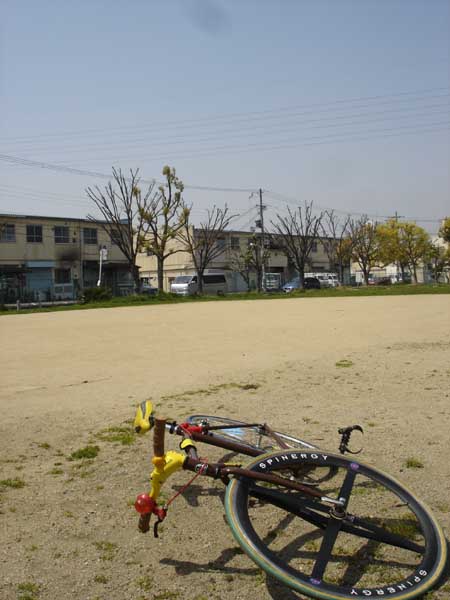 alley cat kishiwada5