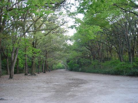 京都8