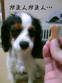 081002_2329~030001.JPG