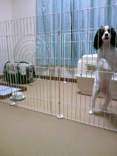 081022_2211~01.JPG