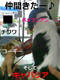 ɱ¡¤Ç