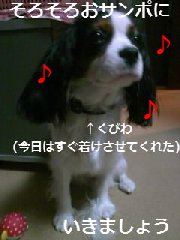 ¤¤¤³¤Ã¤«