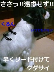 ¤É¤¦¤¾¤É¤¦¤¾