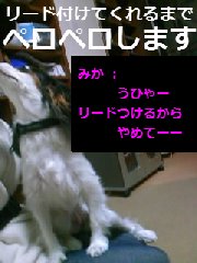 ¥Ú¥í¥Ú¥í¹¶·â