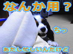 かみかみかみ