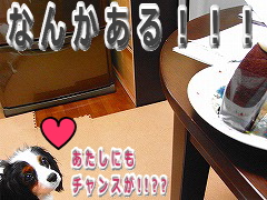 ¤Á¤ã¤ó¤¹¡ª