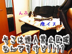 ¹ß¤ê¤Ê¤µ¤¤¡ª