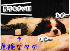 ´í¸±¤Ê¤â¤Î¤¬