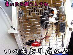¥Ð¥ê¥±¥ó¤Ç¤ª¤Ç¤«¤±