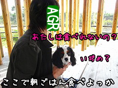 Ä«¤´¤Ï¤ó