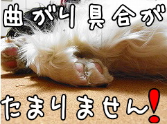 ˨¤§¤Ý¤¤¤ó¤Ä